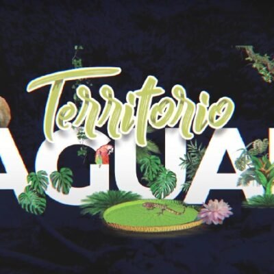 Conozca las historias, avances y acciones que siguen impulsando la conservación y el desarrollo sostenible en la Amazonía colombiana.
