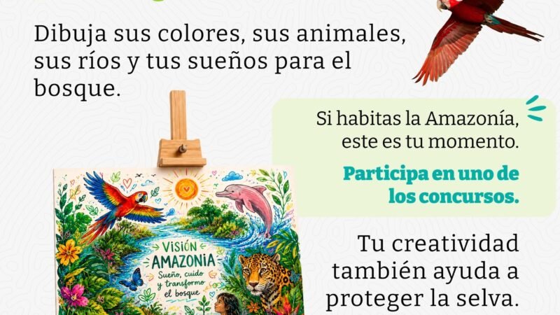 INSCRIBETE AL CONCURSO DE DIBUJO REM VISION AMAZONIA