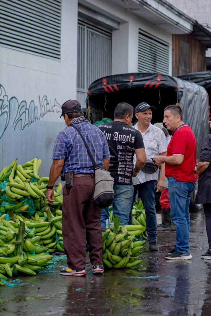 LA PLAZA DE MERCADO LA SATÉLITE INICIA PROCESO DETRANSFORMACIÓN TRAS MÁS DE 15 AÑOS DE DESORDEN EN LA VENTA DEPLÁTANO