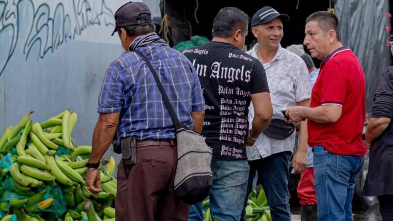 LA PLAZA DE MERCADO LA SATÉLITE INICIA PROCESO DETRANSFORMACIÓN TRAS MÁS DE 15 AÑOS DE DESORDEN EN LA VENTA DEPLÁTANO